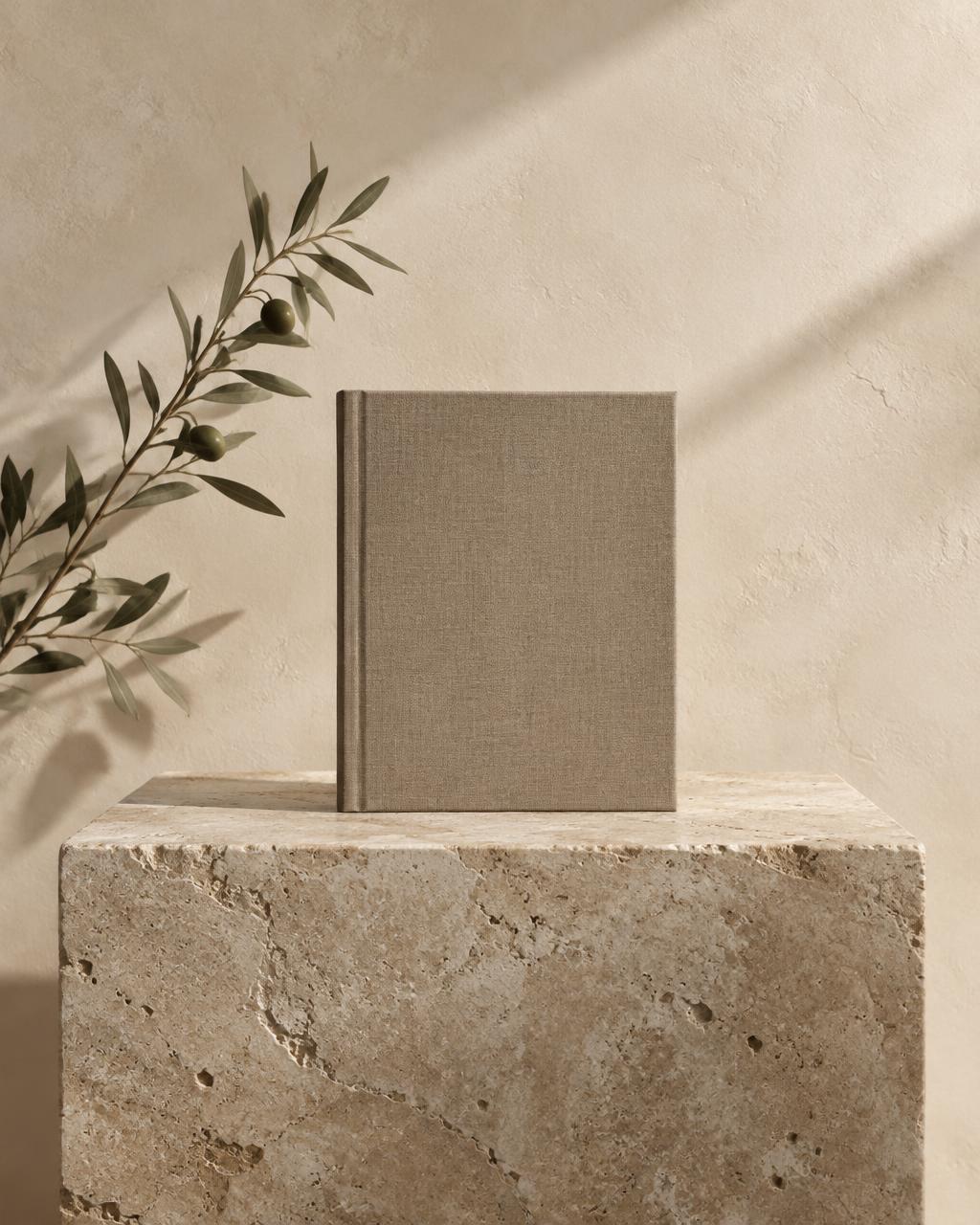 Oat-toned journal and olive branch on ivory limestone