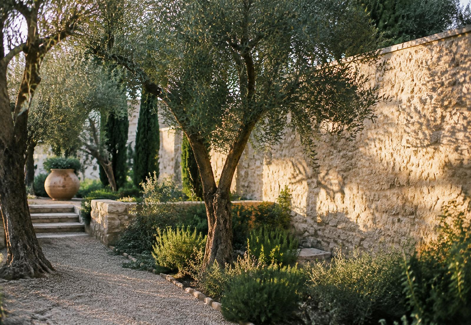 Woman tending an olive garden beside warm limestone architecture